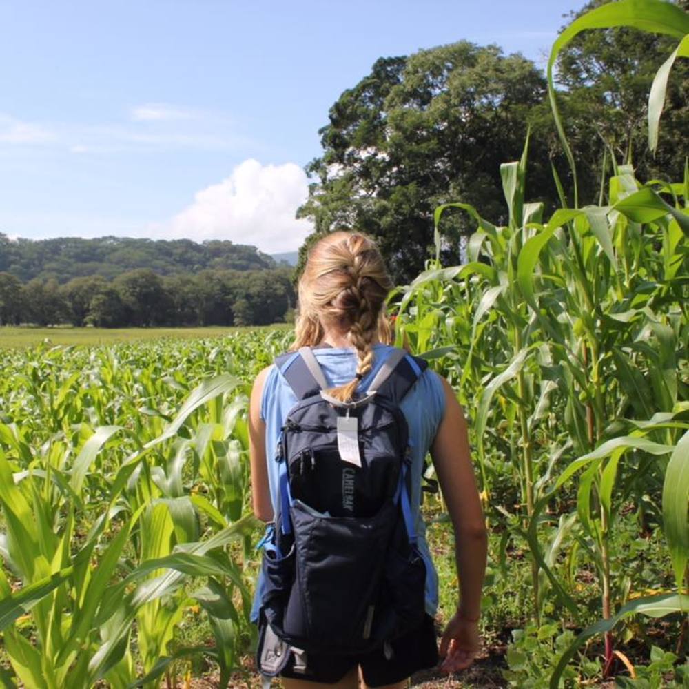 Meet your Posher, Liv